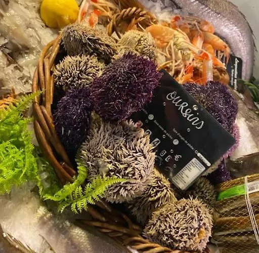 Les Pieds Dans L'eau, Plage Peirere Arcachon